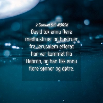 Picture 04 - 2 Samuel 5:13 NORSK - David tok ennu flere medhustruer og hustruer fra - Bible Verse Picture