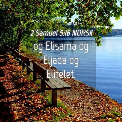 Picture 04 - 2 Samuel 5:16 NORSK - og Elisama og Eljada og - Bible Verse Picture