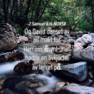 Picture 04 - 2 Samuel 6:14 NORSK - Og David danset av all makt for Herrens - Bible Verse Picture