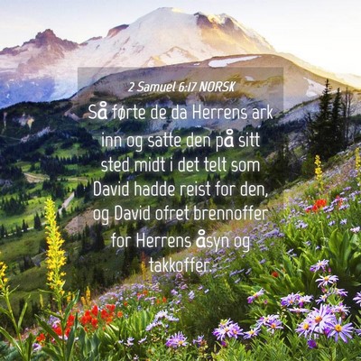 Picture 04 - 2 Samuel 6:17 NORSK - Så førte de da Herrens ark inn og satte den på - Bible Verse Picture