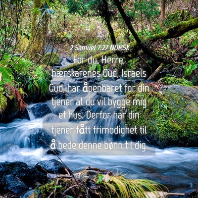 Picture 04 - 2 Samuel 7:27 NORSK - For du, Herre, hærskarenes Gud, Israels Gud, har - Bible Verse Picture