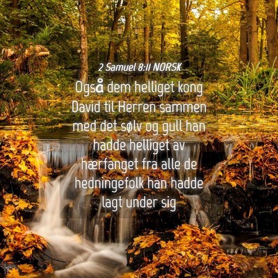 Picture 04 - 2 Samuel 8:11 NORSK - Også dem helliget kong David til Herren sammen - Bible Verse Picture