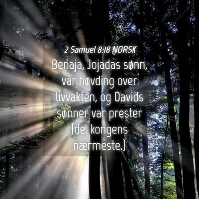 Picture 04 - 2 Samuel 8:18 NORSK - Benaja, Jojadas sønn, var høvding over - Bible Verse Picture