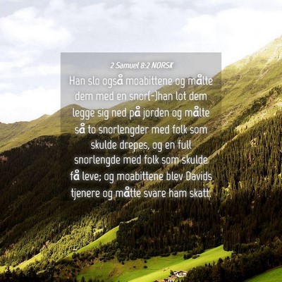 Picture 04 - 2 Samuel 8:2 NORSK - Han slo også moabittene og målte dem med en - Bible Verse Picture