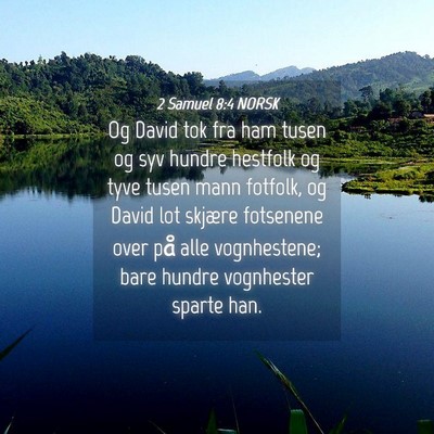 Picture 04 - 2 Samuel 8:4 NORSK - Og David tok fra ham tusen og syv hundre hestfolk - Bible Verse Picture