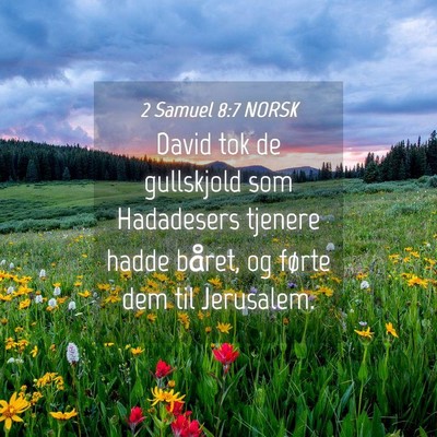 Picture 04 - 2 Samuel 8:7 NORSK - David tok de gullskjold som Hadadesers tjenere - Bible Verse Picture