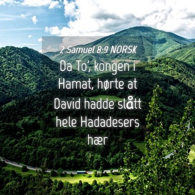 Picture 04 - 2 Samuel 8:9 NORSK - Da To', kongen i Hamat, hørte at David hadde - Bible Verse Picture
