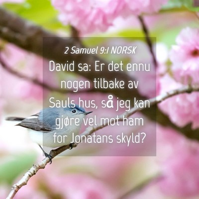 Picture 04 - 2 Samuel 9:1 NORSK - David sa: Er det ennu nogen tilbake av Sauls hus, - Bible Verse Picture