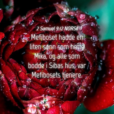 Picture 04 - 2 Samuel 9:12 NORSK - Mefiboset hadde en liten sønn som hette Mika, og - Bible Verse Picture