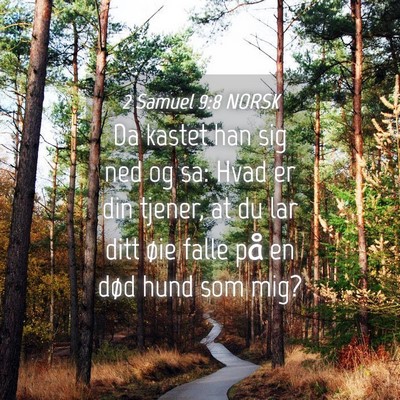 Picture 04 - 2 Samuel 9:8 NORSK - Da kastet han sig ned og sa: Hvad er din tjener, - Bible Verse Picture