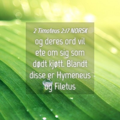 Picture 04 - 2 Timoteus 2:17 NORSK - og deres ord vil ete om sig som dødt kjøtt. - Bible Verse Picture