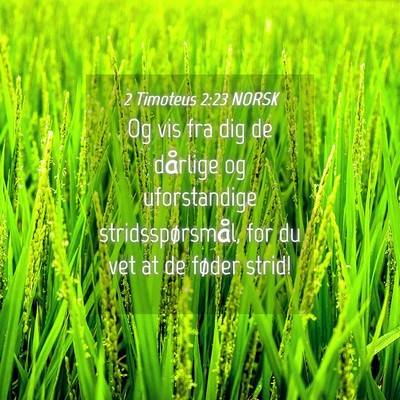 Picture 04 - 2 Timoteus 2:23 NORSK - Og vis fra dig de dårlige og uforstandige - Bible Verse Picture