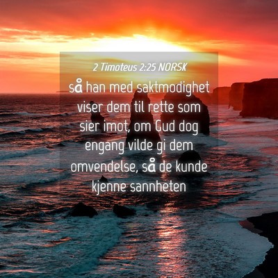 Picture 04 - 2 Timoteus 2:25 NORSK - så han med saktmodighet viser dem til rette som - Bible Verse Picture