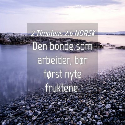 Picture 04 - 2 Timoteus 2:6 NORSK - Den bonde som arbeider, bør først nyte - Bible Verse Picture