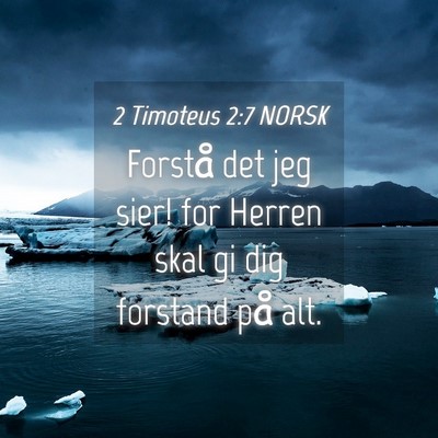 Picture 04 - 2 Timoteus 2:7 NORSK - Forstå det jeg sier! for Herren skal gi dig - Bible Verse Picture