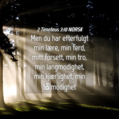 Picture 04 - 2 Timoteus 3:10 NORSK - Men du har efterfulgt min lære, min ferd, mitt - Bible Verse Picture