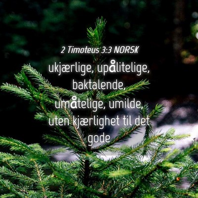 Picture 04 - 2 Timoteus 3:3 NORSK - ukjærlige, upålitelige, baktalende, umåtelige, - Bible Verse Picture