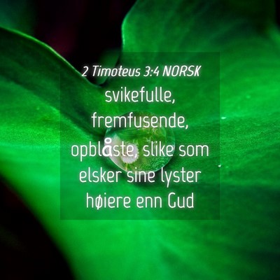 Picture 04 - 2 Timoteus 3:4 NORSK - svikefulle, fremfusende, opblåste, slike som - Bible Verse Picture