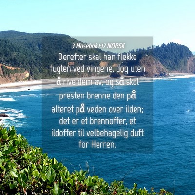 Picture 04 - 3 Mosebok 1:17 NORSK - Derefter skal han flekke fuglen ved vingene, dog - Bible Verse Picture