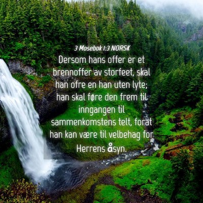 Picture 04 - 3 Mosebok 1:3 NORSK - Dersom hans offer er et brennoffer av storfeet, - Bible Verse Picture