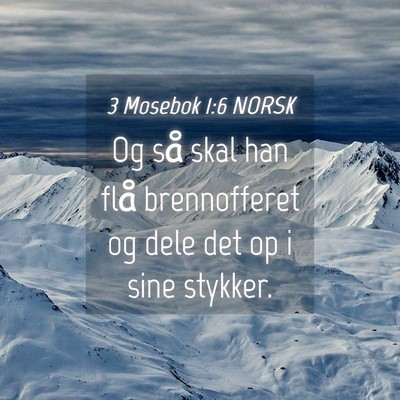 Picture 04 - 3 Mosebok 1:6 NORSK - Og så skal han flå brennofferet og dele det op - Bible Verse Picture
