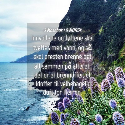 Picture 04 - 3 Mosebok 1:9 NORSK - Innvollene og føttene skal tvettes med vann, og - Bible Verse Picture