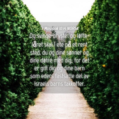 Picture 04 - 3 Mosebok 10:14 NORSK - Og svinge-brystet og løfte-låret skal I ete på - Bible Verse Picture