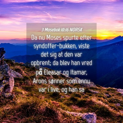 Picture 04 - 3 Mosebok 10:16 NORSK - Da nu Moses spurte efter syndoffer-bukken, viste - Bible Verse Picture