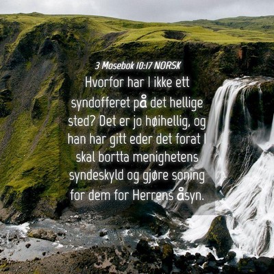 Picture 04 - 3 Mosebok 10:17 NORSK - Hvorfor har I ikke ett syndofferet på det - Bible Verse Picture