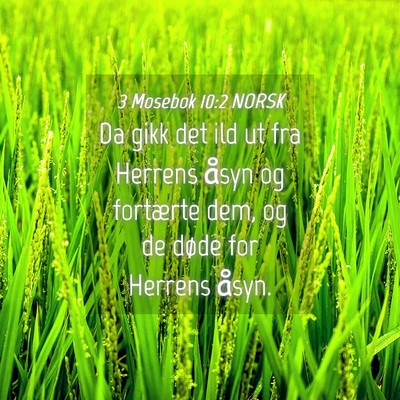 Picture 04 - 3 Mosebok 10:2 NORSK - Da gikk det ild ut fra Herrens åsyn og fortærte - Bible Verse Picture
