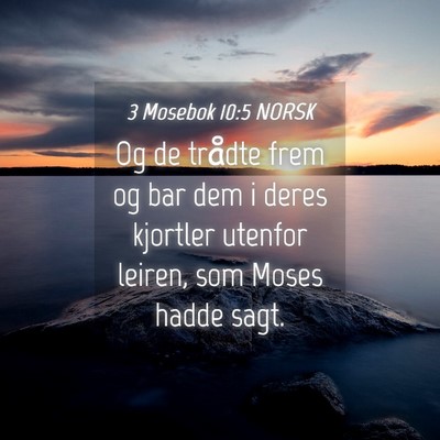 Picture 04 - 3 Mosebok 10:5 NORSK - Og de trådte frem og bar dem i deres kjortler - Bible Verse Picture