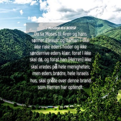 Picture 04 - 3 Mosebok 10:6 NORSK - Da sa Moses til Aron og hans sønner Eleasar og - Bible Verse Picture