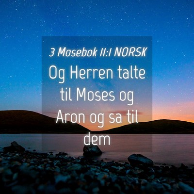 Picture 04 - 3 Mosebok 11:1 NORSK - Og Herren talte til Moses og Aron og sa til - Bible Verse Picture