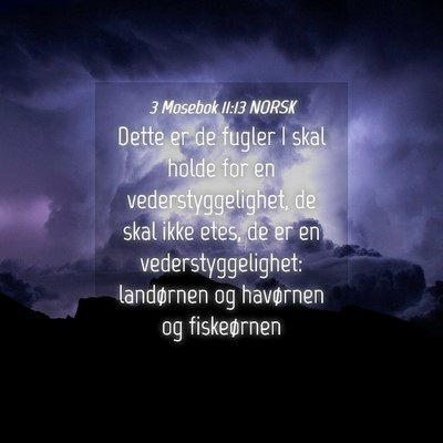 Picture 04 - 3 Mosebok 11:13 NORSK - Dette er de fugler I skal holde for en - Bible Verse Picture