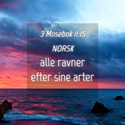 Picture 04 - 3 Mosebok 11:15 NORSK - alle ravner efter sine - Bible Verse Picture