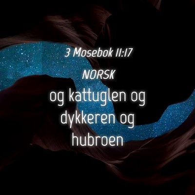 Picture 04 - 3 Mosebok 11:17 NORSK - og kattuglen og dykkeren og - Bible Verse Picture