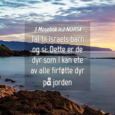 Picture 04 - 3 Mosebok 11:2 NORSK - Tal til Israels barn og si: Dette er de dyr som I - Bible Verse Picture