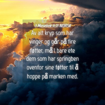 Picture 04 - 3 Mosebok 11:21 NORSK - Av alt kryp som har vinger og går på fire - Bible Verse Picture