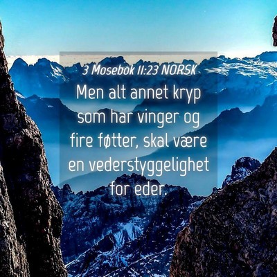 Picture 04 - 3 Mosebok 11:23 NORSK - Men alt annet kryp som har vinger og fire - Bible Verse Picture