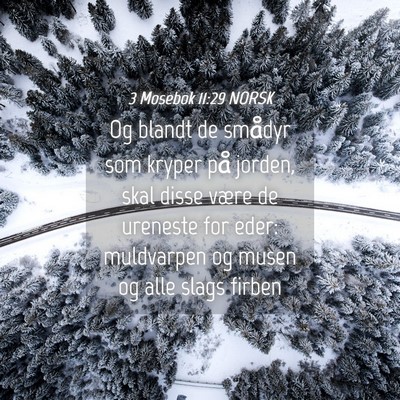 Picture 04 - 3 Mosebok 11:29 NORSK - Og blandt de smådyr som kryper på jorden, skal - Bible Verse Picture