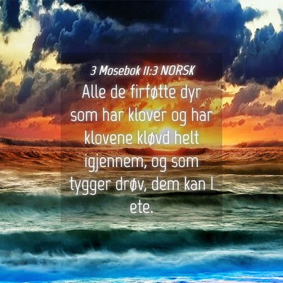 Picture 04 - 3 Mosebok 11:3 NORSK - Alle de firføtte dyr som har klover og har - Bible Verse Picture