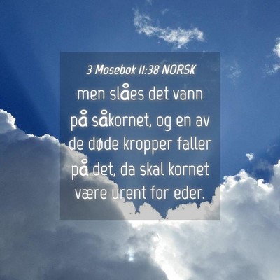 Picture 04 - 3 Mosebok 11:38 NORSK - men slåes det vann på såkornet, og en av de - Bible Verse Picture