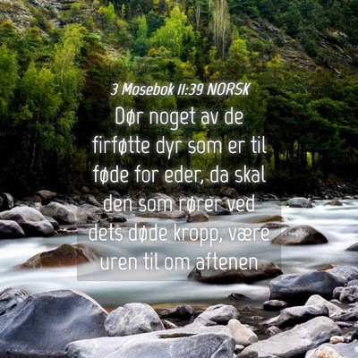 Picture 04 - 3 Mosebok 11:39 NORSK - Dør noget av de firføtte dyr som er til føde - Bible Verse Picture