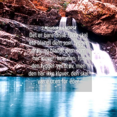 Picture 04 - 3 Mosebok 11:4 NORSK - Det er bare disse I ikke skal ete blandt dem som - Bible Verse Picture