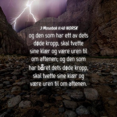 Picture 04 - 3 Mosebok 11:40 NORSK - og den som har ett av dets døde kropp, skal - Bible Verse Picture