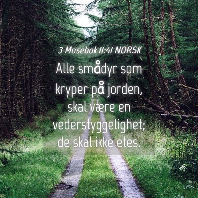 Picture 04 - 3 Mosebok 11:41 NORSK - Alle smådyr som kryper på jorden, skal være en - Bible Verse Picture