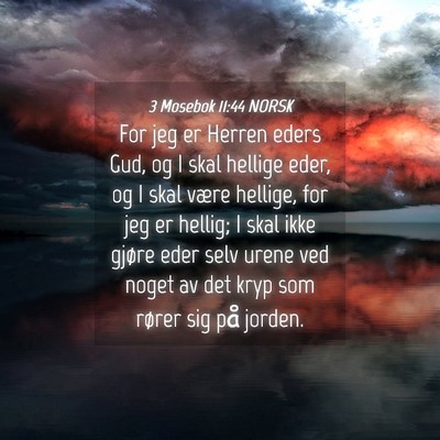 Picture 04 - 3 Mosebok 11:44 NORSK - For jeg er Herren eders Gud, og I skal hellige - Bible Verse Picture