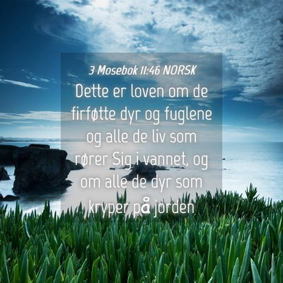 Picture 04 - 3 Mosebok 11:46 NORSK - Dette er loven om de firføtte dyr og fuglene og - Bible Verse Picture