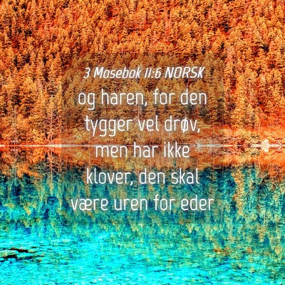 Picture 04 - 3 Mosebok 11:6 NORSK - og haren, for den tygger vel drøv, men har ikke - Bible Verse Picture