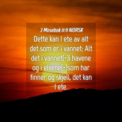 Picture 04 - 3 Mosebok 11:9 NORSK - Dette kan I ete av alt det som er i vannet: Alt - Bible Verse Picture